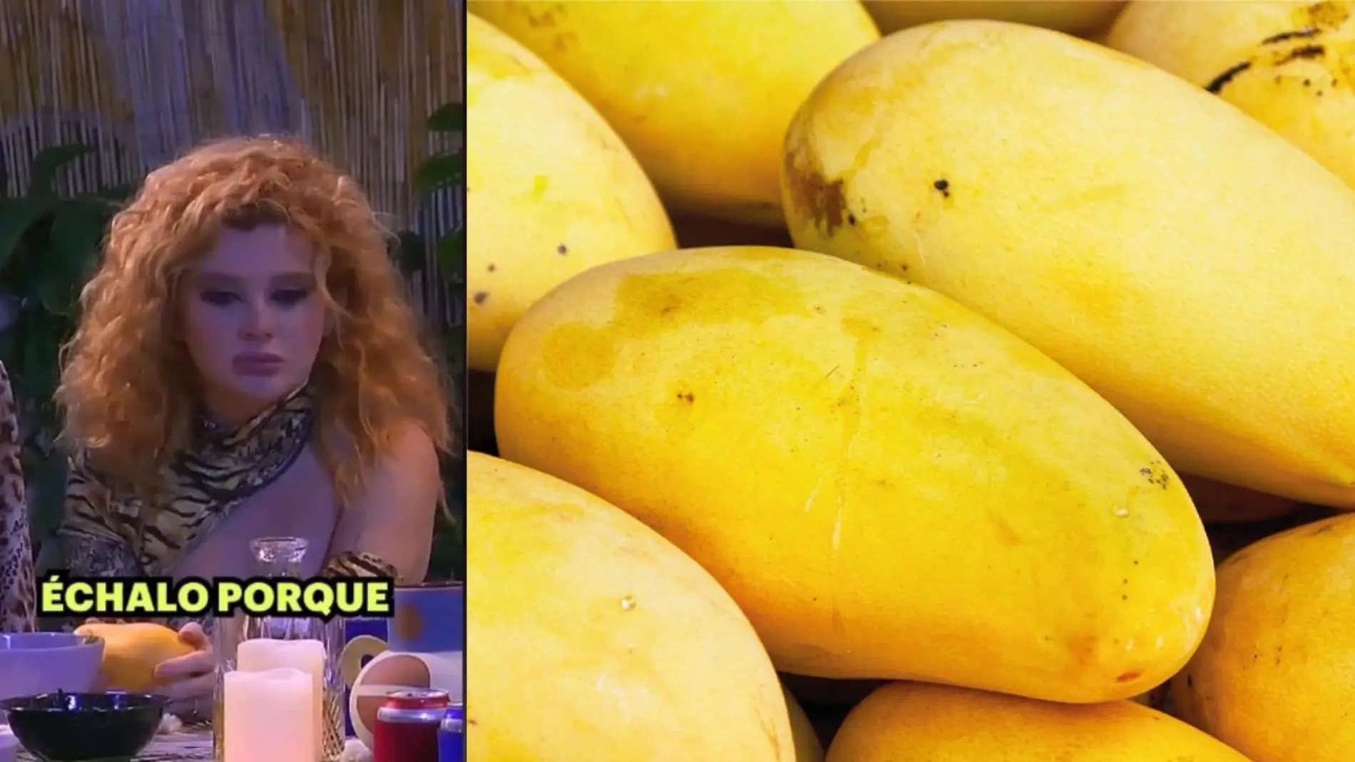 Mangos pelea